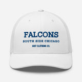 Falcons - Hat