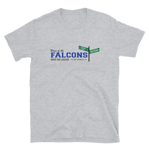 Falcons - 102nd & Washtenaw